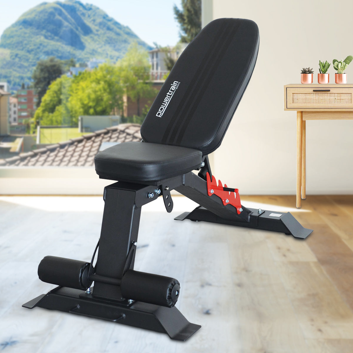 Adjustable Gym Bench